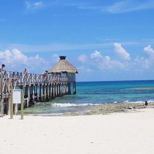 Meet your Posher, Anika